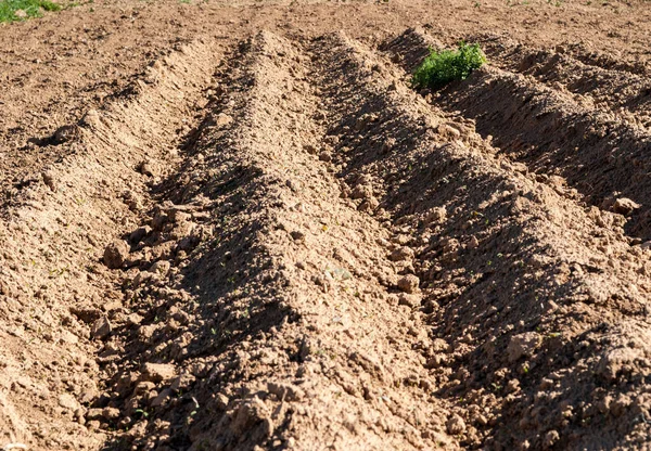 Plowed Replacement Close Furrow — Stock Photo, Image