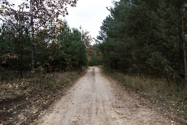 Dirty forest road in the village in Ukraine at the autumn.