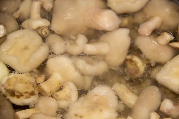 黄油蘑菇剥皮并在水中煮沸 — 图库照片