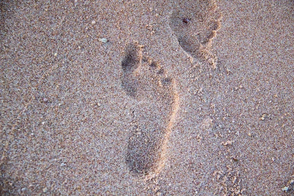 Kumsalda Kumların Üzerinde Bir Ayak Izi — Stok fotoğraf