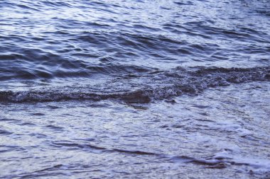 Dalgalı deniz suyu. Mısır 'daki yerel plajda deniz dalgalarıyla deniz suyu manzarası