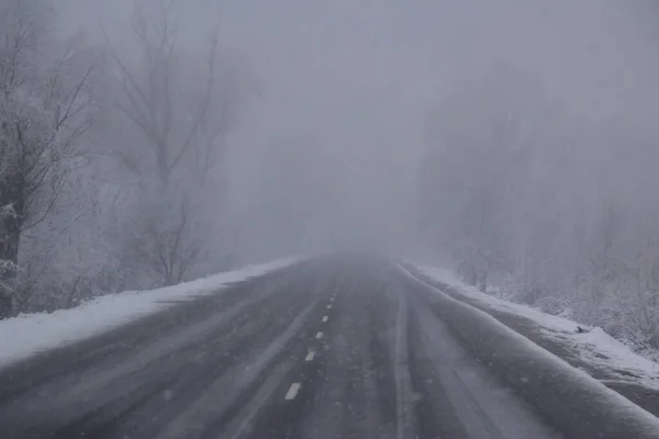 Una Mistica Strada Nebbiosa Nella Foresta Invernale — Foto Stock