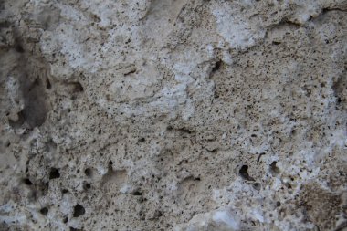 Doğal malzemeden yapılmış güzel taş dokusu. Kayadaki kurumuş ve taşlaşmış mercanlar arka planda.