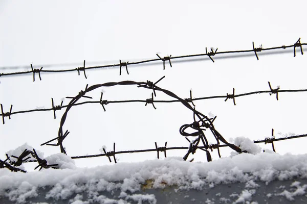 Barbed wire on the fence against light background in the winter  cloudy day