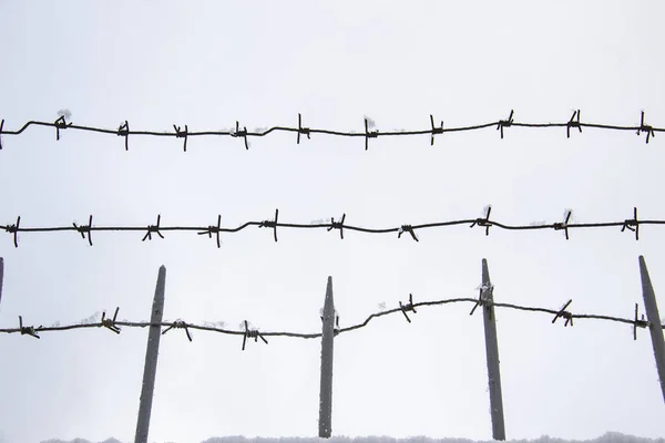 Barbed wire with snow on against light background in the winter  cloudy day