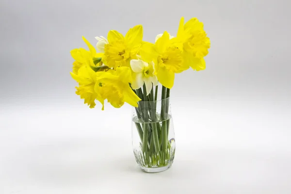 Daffodil Narciso Sobre Fundo Cinzento Flores Amarelas Primavera Vaso Vidro — Fotografia de Stock