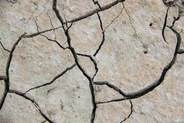 Texture Cracked Dry Earth Cracks Background — Stock Photo, Image