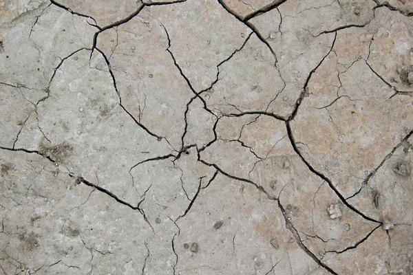 Texture Cracked Dry Earth Cracks Background — Stock Photo, Image