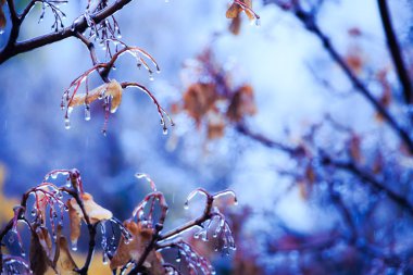 karla karışık yağmur