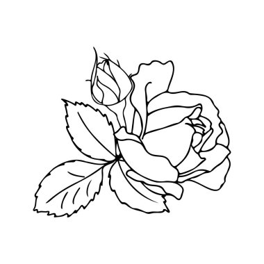 Elle çizilmiş gül buketini doğrusal bir şekilde taşıyın. Dolu olmayan siyah bir taslak. Düğün tasarımı için çiçek aranjmanı, kartlar, zarflar, ambalaj.