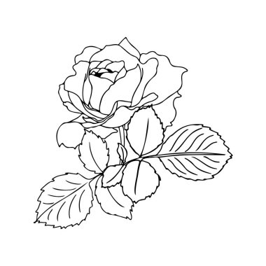 Elle çizilmiş gül buketini doğrusal bir şekilde taşıyın. Dolu olmayan siyah bir taslak. Düğün tasarımı için çiçek aranjmanı, kartlar, zarflar, ambalaj.