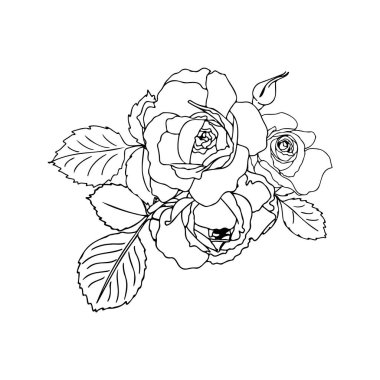 Elle çizilmiş gül buketini doğrusal bir şekilde taşıyın. Dolu olmayan siyah bir taslak. Düğün tasarımı için çiçek aranjmanı, kartlar, zarflar, ambalaj.