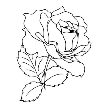 Elle çizilmiş gül buketini doğrusal bir şekilde taşıyın. Dolu olmayan siyah bir taslak. Düğün tasarımı için çiçek aranjmanı, kartlar, zarflar, ambalaj.