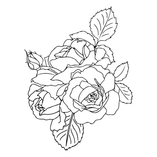 Bouquet Roses Vectoriel Dessiné Main Dans Style Linéaire Contour Noir — Image vectorielle