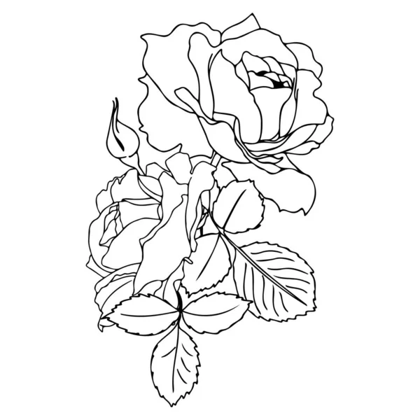 Bouquet Roses Vectoriel Dessiné Main Dans Style Linéaire Contour Noir — Image vectorielle