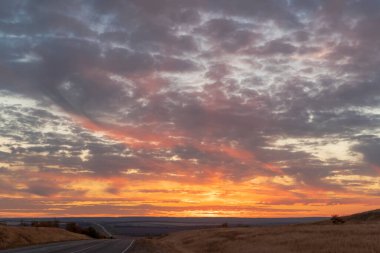 Sonbahar orman manzarası mavi gökyüzü arkaplanı