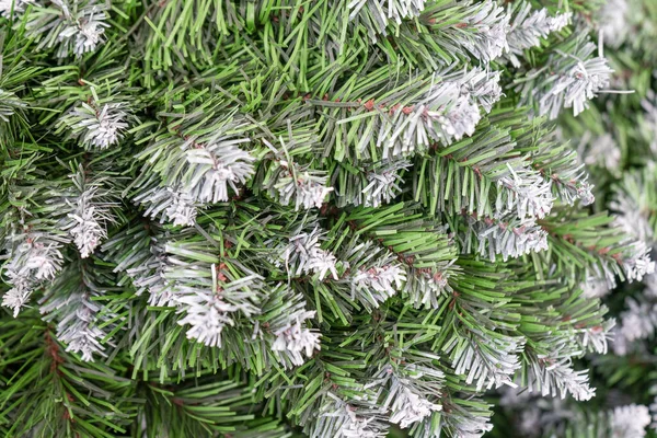 Pine branch with a cone close up against the blue sky — Stock Photo, Image