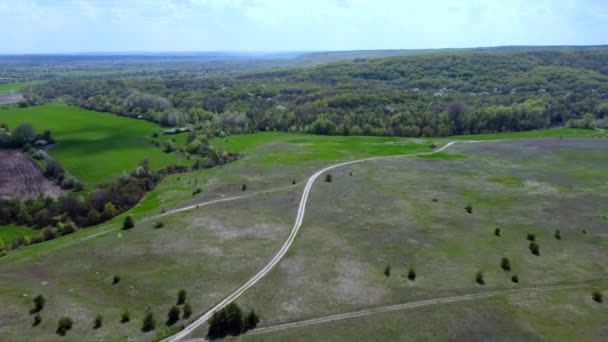 Una vista de pájaro del camino entre el bosque y los campos verdes. Hermoso paisaje de carretera, campos verdes, árboles verdes. video de un quadrocopter — Vídeo de stock