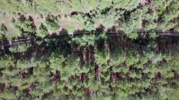 Vista aérea de la carretera entre el bosque. Hermoso paisaje de carretera, árboles verdes. video de un quadrocopter — Vídeo de stock