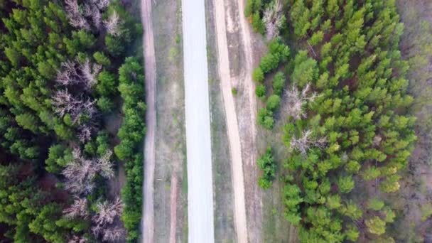 森の間の道路の空中ビュー。美しい高速道路の風景、緑の木。4次元コンピュータからのビデオです — ストック動画