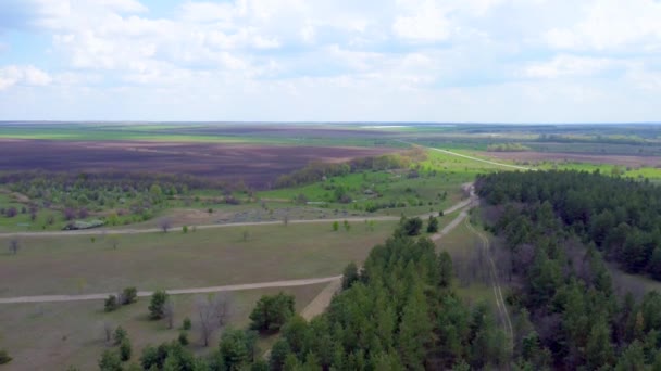 Una vista de pájaro del camino entre el bosque y los campos verdes. Hermoso paisaje de carretera, campos verdes, árboles verdes. video de un quadrocopter — Vídeo de stock