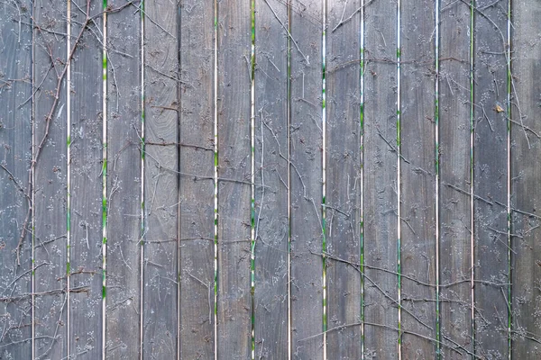 Una cerca de madera trenzada con ramas como fondo —  Fotos de Stock