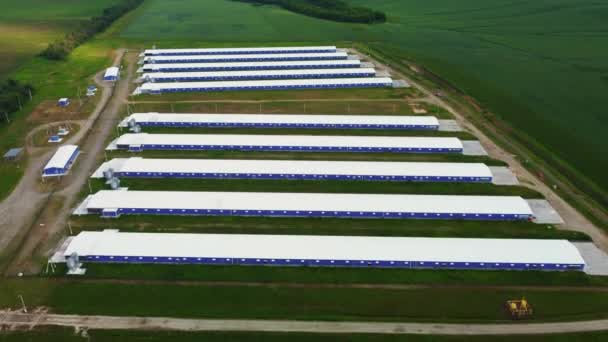 Serres de l'air. fermes d'élevage d'un quadrocopter — Video