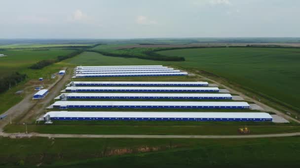 Invernaderos desde el aire. granjas ganaderas de un quadrocopter — Vídeo de stock