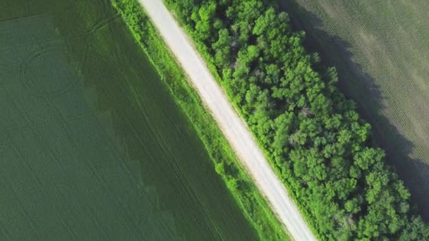 Luftaufnahme der Straße zwischen den Feldern. Video von einem Quadrocopter — Stockvideo