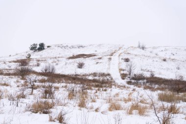 Sonbahar orman manzarası mavi gökyüzü arkaplanı