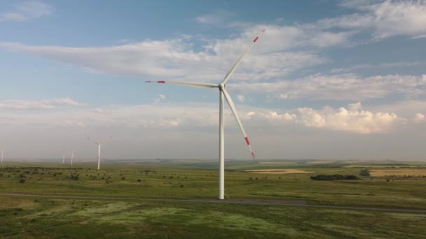 Turbine eoliene într-un câmp împotriva cerului — Videoclip de stoc