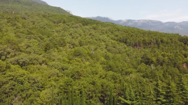 Montanhas na vista verde do ar. vídeo a partir de um quadrocopter — Vídeo de Stock