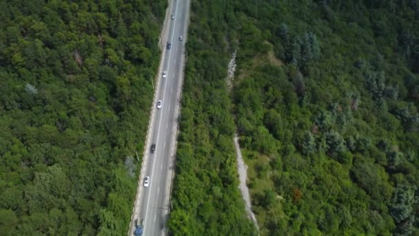 Estrada em uma floresta decídua vista aérea. vídeo a partir de um quadrocopter — Vídeo de Stock