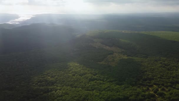 谷は落葉樹林の空中風景で覆われています。4次元コンピュータからのビデオです — ストック動画