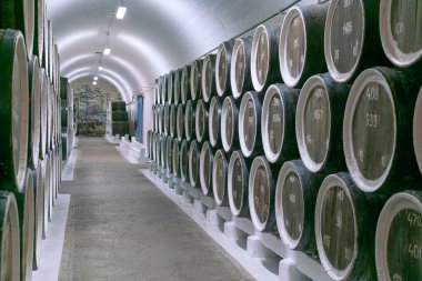 Şarap mahzenlerinde şarap fıçıları yakın plan.