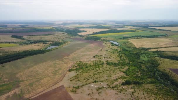 Widok z góry na pola ze stawami Widok z lotu ptaka na dolinę pól uprawnych. — Wideo stockowe