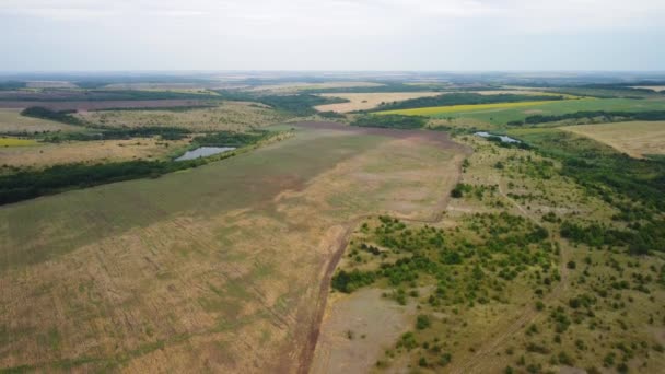 Pohled shora na pole s rybníky.Pohled z ptačí perspektivy na údolí polí. — Stock video