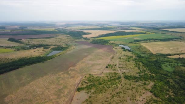 Vue de dessus des champs avec étangs.Vue aérienne de la vallée des champs agricoles. — Video