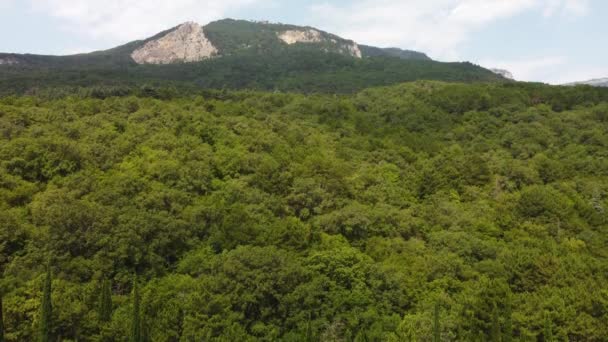 Góry w zieleni widok z powietrza. wideo z quadrocoptera — Wideo stockowe