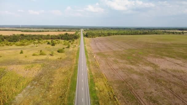 농경지 사이의 지평선까지 뻗어 있는 도로 — 비디오
