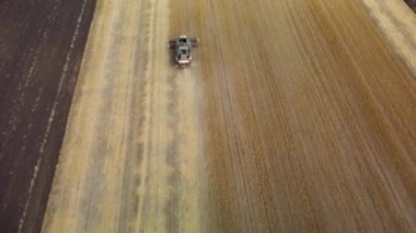 Bir keten tarlasını kuş bakışı bakıştan temizlemek