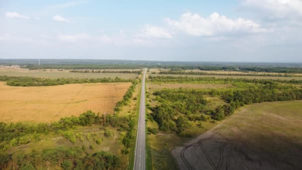 Uma estrada que se estende ao horizonte entre os campos agrícolas — Vídeo de Stock