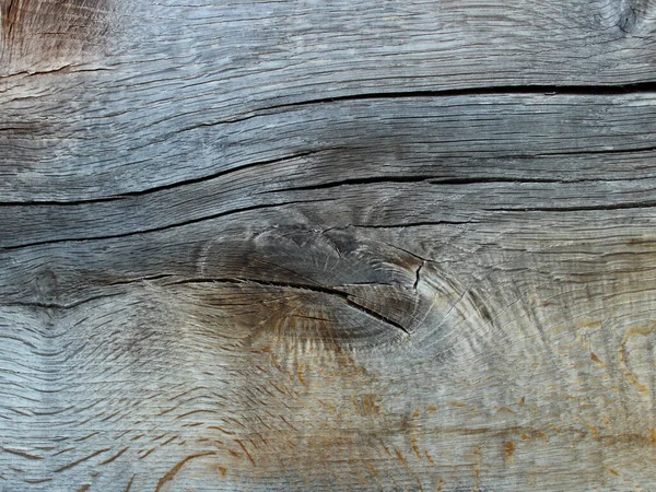 壁や床の木の切りの質感 — ストック写真