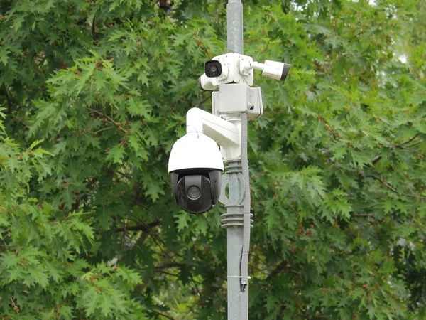 Telecamera Sicurezza Riconoscimento Nel Parco Cittadino — Foto Stock