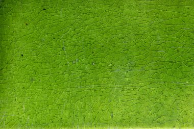 Parlak yeşil mozaik seramik döşeme dokusu arkaplanı 