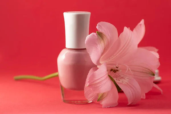 Różowy lakier do paznokci butelka i kwiaty na czerwonym tle. Naturalny produkt kosmetyczny i koncepcja manicure. Miejsce na tekst lub logo. Koncepcja blogerki urody — Zdjęcie stockowe