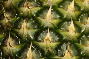 Ananas derisi arkaplanının yakın görüntüsü