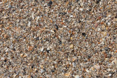 Sahildeki zemine yakın görüş