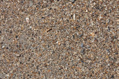 Sahildeki zemine yakın görüş