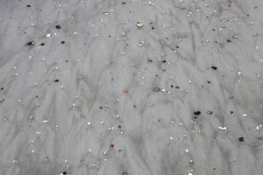 Sahildeki zemine yakın görüş